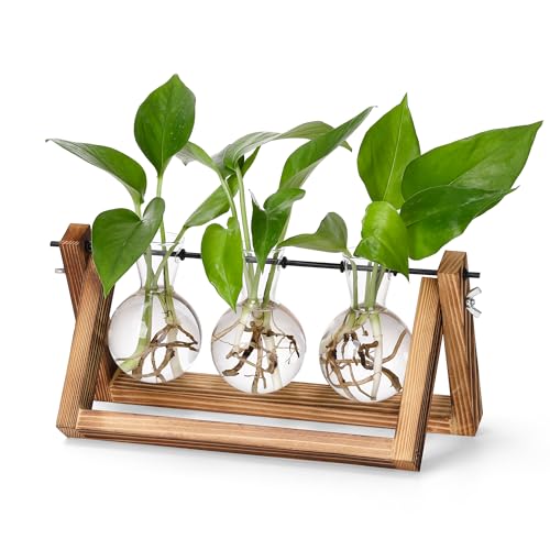 YIBOT Pflanzen-Anzuchtstationen, Schreibtisch-Pflanzen-Terrarium mit Retro-Holzständer, Pflanzenliebhaber, Geschenke für Frauen für Hydrokulturen, Pflanzen, Zuhause, Garten, Hochzeitsdekoration YIBOT Pflanzen-Anzuchtstationen, Schreibtisch-Pflanzen-Terrarium mit Retro-Holzständer, Pflanzenliebhaber, Geschenke für Frauen für Hydrokulturen, Pflanzen, Zuhause, Garten, Hochzeitsdekoration von YIBOT