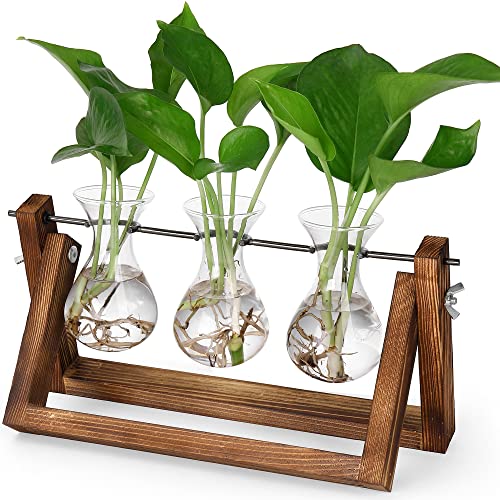 YIBOT Pflanzen-Terrarium mit Holzständer, Anzuchtstationen, Retro-Tischplatte, Pflanzen-Anzuchtvase für Innenbereich, Büro, Zuhause, Garten, Dekoration – neue verbesserte 3 Hyazinthen-Vase von YIBOT