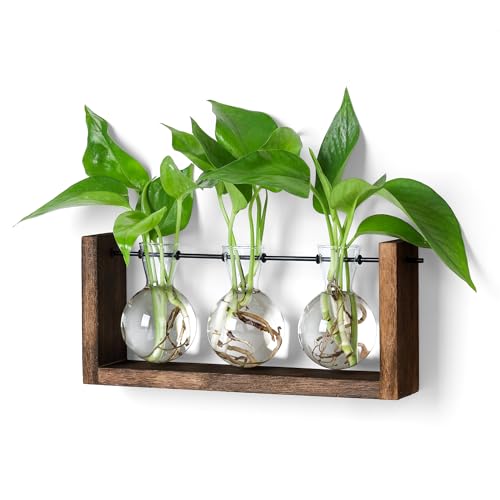 YIBOT Pflanzen-Terrarium mit Holzständer, Pflanzenzuchtstationen, Wandbehang, Glas-Pflanzgefäß, Schreibtisch-Pflanzgefäß, für Innenbereich, Büro, Zuhause, Garten, Dekoration, 3 Glühbirnen YIBOT Pflanzen-Terrarium mit Holzständer, Pflanzenzuchtstationen, Wandbehang, Glas-Pflanzgefäß, Schreibtisch-Pflanzgefäß, für Innenbereich, Büro, Zuhause, Garten, Dekoration, 3 Glühbirnen von YIBOT