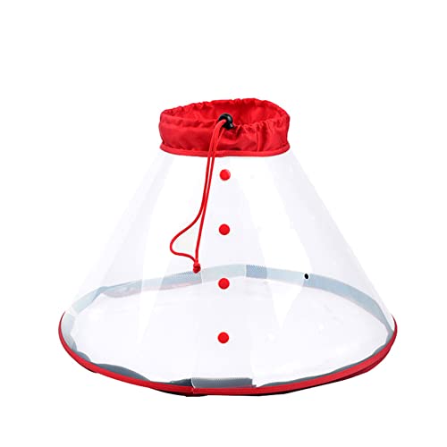 Transparenter Mundring für kleine Kätzchen, Haustierzubehör, Hundemundring, kleiner Hund Transparenter Mundring für kleine Kätzchen, Haustierzubehör, Hundemundring, kleiner Hund von YIGZYCN