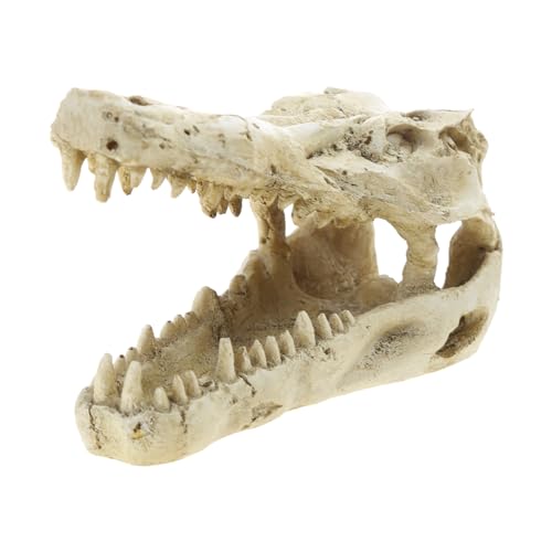 YIGZYCN Aquarium-Dekoration, Kunstharz, Aquarium-Ornament, Wasserhaustiere, Simulation, Totenkopf, Betta-Verstecken, Laichen, Kunststoff, für den Außenbereich, groß YIGZYCN Aquarium-Dekoration, Kunstharz, Aquarium-Ornament, Wasserhaustiere, Simulation, Totenkopf, Betta-Verstecken, Laichen, Kunststoff, für den Außenbereich, groß von YIGZYCN