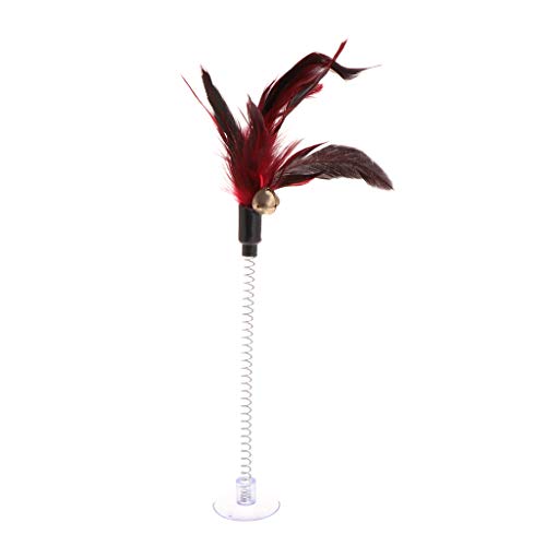 YIGZYCN Für Katze Spielzeug Feder Stick Frühling Saugnapf Pet Teaser Lustige Interaktive Zauberstab Katze Spielzeug Mit Für Indoor Katzen YIGZYCN Für Katze Spielzeug Feder Stick Frühling Saugnapf Pet Teaser Lustige Interaktive Zauberstab Katze Spielzeug Mit Für Indoor Katzen von YIGZYCN