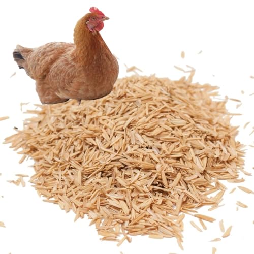 YIHAKIDS Reisspelzen 60L - Natürlich Gesunde Reishülsen für Pflanzen, Gartenbau, Geflügel, Gewächshäuser丨Organisch Einstreu-Zusatz für Wachteln, Hühner, Hamster丨Reisschalen für Pflanzendünger (9.6KG) YIHAKIDS Reisspelzen 60L - Natürlich Gesunde Reishülsen für Pflanzen, Gartenbau, Geflügel, Gewächshäuser丨Organisch Einstreu-Zusatz für Wachteln, Hühner, Hamster丨Reisschalen für Pflanzendünger (9.6KG) von YIHAKIDS
