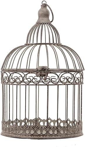 Feiner Vogelflugkäfig, Vogelträger, Retro-Vogelkäfig, Eisen, Schmuck, Zuhause, Wohnzimmer, Dekoration, Weben, Geschenk, kreatives Kunsthandwerk, geeignet für Fotografie-Requisiten, Nymphensittichkäfig Feiner Vogelflugkäfig, Vogelträger, Retro-Vogelkäfig, Eisen, Schmuck, Zuhause, Wohnzimmer, Dekoration, Weben, Geschenk, kreatives Kunsthandwerk, geeignet für Fotografie-Requisiten, Nymphensittichkäfig von YIHANSS