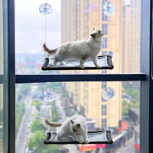 YILAG Katzenhängematte für Fensterwand mit 8 Saugnäpfen, 2 Kissenbezügen, Katzen-Fenstersitzstange, platzsparend und einfach zu montieren, großes Katzenbett, Haustierruhe, Sicherheitshalterung YILAG Katzenhängematte für Fensterwand mit 8 Saugnäpfen, 2 Kissenbezügen, Katzen-Fenstersitzstange, platzsparend und einfach zu montieren, großes Katzenbett, Haustierruhe, Sicherheitshalterung von YILAG
