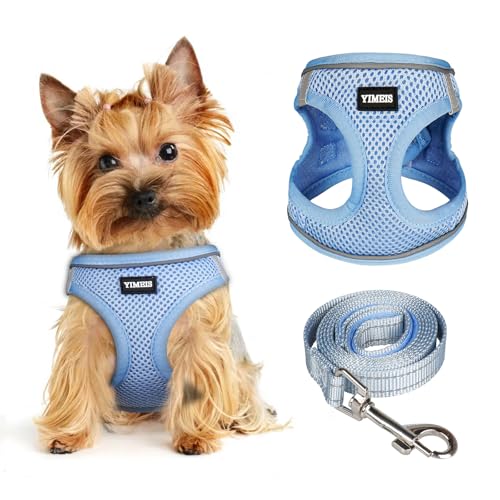 Hundegeschirr für kleine Hunde und Leine, Wabengitter, reflektierendes, leichtes Geschirr und verdrehsichere Haustierleine, mehrfarbig, Größe: XS-S-M (XS, Aquablau) von YIMEIS