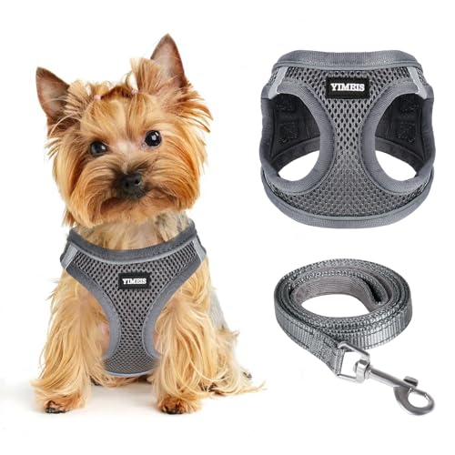 Hundegeschirr für kleine Hunde und Leine, Wabengitter, reflektierendes, leichtes Geschirr und verdrehsichere Haustierleine (mehrfarbig, Größe: XS-S-M) (XS, Grau) von YIMEIS