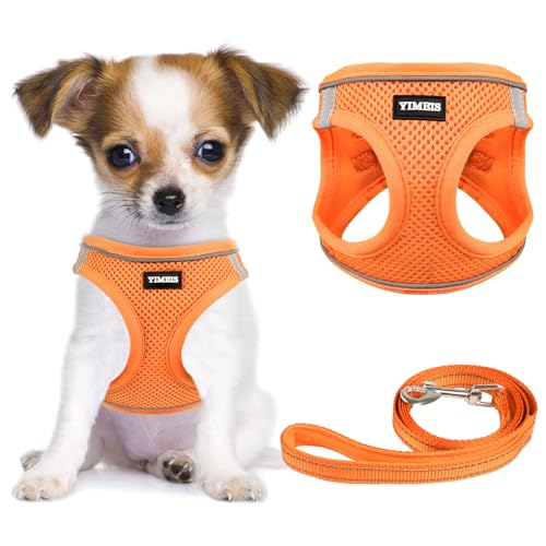 YIMEIS Hundegeschirr und Leine, Hundegeschirr, weiches Netzgewebe, verstellbar, reflektierend, für kleine, mittelgroße und große Hunde, Katzen (orange01, klein (Paket von YIMEIS