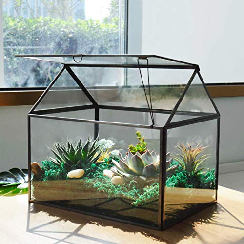 Großes Glas Pflanze Terrarium - Haus Sukkulenten Glas Terrarium Kit mit Lippe Glas Gewächshaus Terrarium für Pflanze (Schwarz 1) von YIMORENCE V