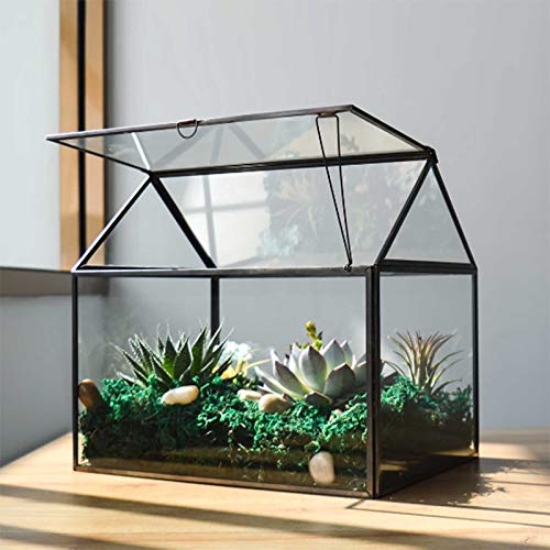 Großes Glas Pflanze Terrarium - Haus Sukkulenten Glas Terrarium Kit mit Lippe Glas Gewächshaus Terrarium für Pflanze 12.26x9.15x10.9 Zoll (Schwarz 2) von YIMORENCE V