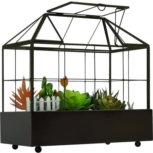 YIMORENCE V Großes Hohes Glas-Terrarium, Gewächshaus Mit Deckel Und Tablett für Den Innenbereich - Für Orchideen, Sukkulenten, Kakteen - 24 x 24 x 14 cm von YIMORENCE V