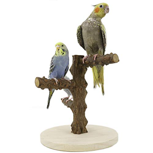YINGGE Papageien Spielplatz für Vögel, Holz, Sitzstange von YINGGE