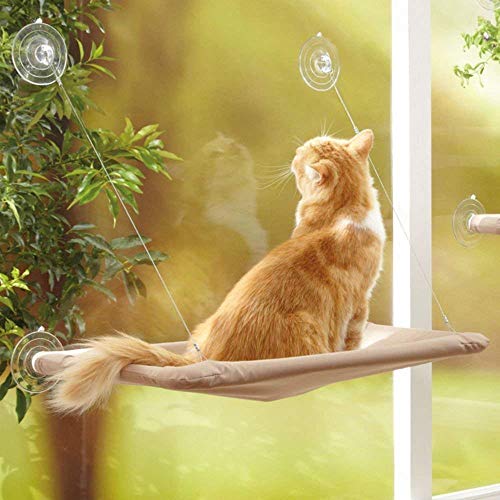 YIQI Katzenhängematte am Fenster für die Stange der Katze, Hängebett für Haustiere mit Saugnapf, bequem, langlebig, robust, Stauraum (55 x 32 cm) von YIQI