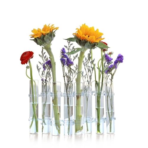 YIRUZWRD 8 x Pflanzen Terrarium Reagenzgläser Blume Tischplatte Glas Vase Wasserpflanzen Halter für Vermehrung Hydrokultur Pflanzen mit Bürstenhaken von YIRUZWRD