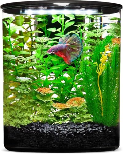 YISITONG Aquarium, 360°-Aquarium mit LED-Vollspektrum-Beleuchtung und Leistungsfilter für eine Vielzahl von Wasserpflanzen und Fischen YISITONG Aquarium, 360°-Aquarium mit LED-Vollspektrum-Beleuchtung und Leistungsfilter für eine Vielzahl von Wasserpflanzen und Fischen von YISITONG