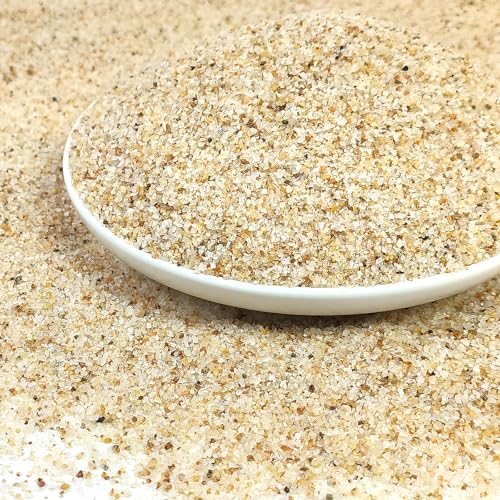 YISZM Aquariensand 2,3 kg Beige Aquariumsand Aquarienkies Substrat für Aquascaping, Vivarien, Terrarien, Pflanzen und Handwerk YISZM Aquariensand 2,3 kg Beige Aquariumsand Aquarienkies Substrat für Aquascaping, Vivarien, Terrarien, Pflanzen und Handwerk von YISZM