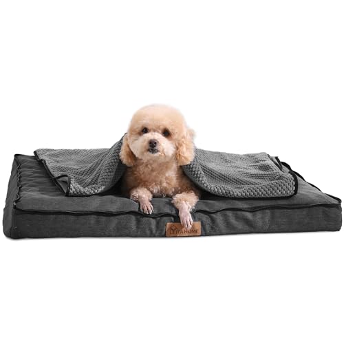 YITAHOME Hundebett Kleiner Hunde - 76x51 cm Hundekissen mit Abnehmbare Decke, Hundematte für Kleiner Hunde,waschbar rutschfest Hundebetten, grau YITAHOME Hundebett Kleiner Hunde - 76x51 cm Hundekissen mit Abnehmbare Decke, Hundematte für Kleiner Hunde,waschbar rutschfest Hundebetten, grau von YITAHOME