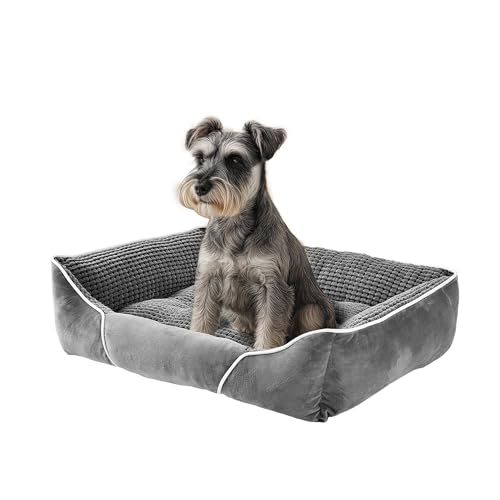 YITAHOME Hundebett Mittelgroße Hunde,51x48cm,Hundekorb Hunde,Orthopädisches Hundebett Ergonomisches Hundesofa,Bezug Abnehmbar Waschbar,Erhöhte Ränder, rutschfeste Unterseite YITAHOME Hundebett Mittelgroße Hunde,51x48cm,Hundekorb Hunde,Orthopädisches Hundebett Ergonomisches Hundesofa,Bezug Abnehmbar Waschbar,Erhöhte Ränder, rutschfeste Unterseite von YITAHOME