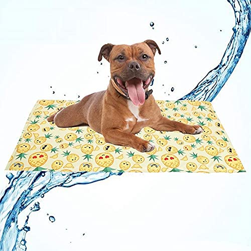 Kühlmatte Für Hunde Dog Cool Mat Hunde Selbstkühlende Gelmatten Pads Pet Cool Beds 1 Stück M von YITON