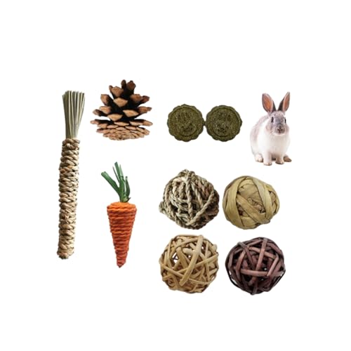 YIUPEDRFG Langlebiges Kauspielzeug Set für kleine Haustiere – pflegeleichtes und einzigartiges Tier Kauspielzeug, Holz Kauspielzeug Set, Kaninchen Guinea, 9 teiliges Set YIUPEDRFG Langlebiges Kauspielzeug Set für kleine Haustiere – pflegeleichtes und einzigartiges Tier Kauspielzeug, Holz Kauspielzeug Set, Kaninchen Guinea, 9 teiliges Set von YIUPEDRFG