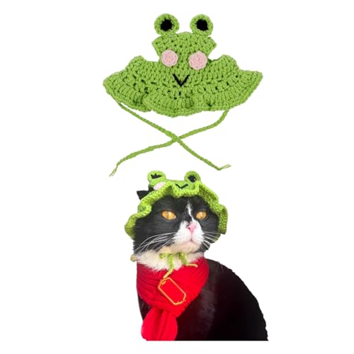 YIUPEDRFG Süße handgemachte Frosch Katzenmütze, Blumen Katzenmütze, lustige Halloween Strickmütze. Weiche, Bequeme Katzen, Delfin Accessoires, Froschhut, S von YIUPEDRFG