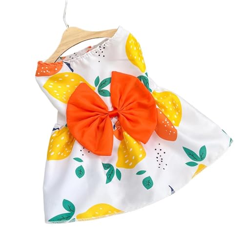 Hunde-Kleid Hundekleider Orange Zitrone Welpenrock Haustier Hundekleid ​Prinzessin Hochzeit Geburtstag Abendkleid Kleid Für Hunde Katzen (M) von YIYELIY