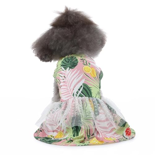 Hundekleid Welpenrock Haustier Hundekleid ​Hunde Kleid Prinzessin Abendkleid Kleid für Hunde Katzen (M) von YIYELIY