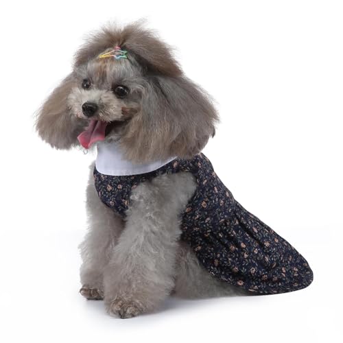 Hundekleid Welpenrock Haustier Hundekleid ​Hunde Kleid Prinzessin Abendkleid Kleid für Hunde Katzen (XL) von YIYELIY