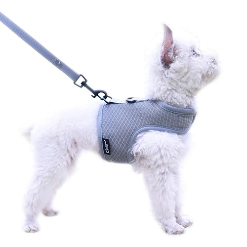 Hundegeschirr und Leine, Set für kleine Haustiere, für den Sommer, verstellbar, weich gepolstert, Hundeweste für Pudel, Zwergspitz, Chihuahua, Minlature Pinscher unter 4,5 kg, solides graues Hundegeschirr und Leine, Set für kleine Haustiere, für den Sommer, verstellbar, weich gepolstert, Hundeweste für Pudel, Zwergspitz, Chihuahua, Minlature Pinscher unter 4,5 kg, solides graues von YIZHI MIAOW