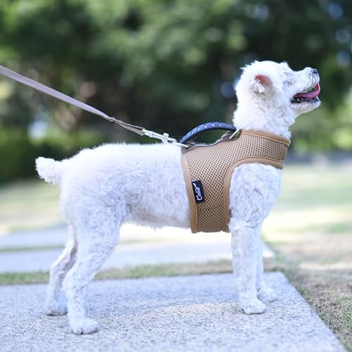 Hundegeschirr und Leine, Set für kleine Haustiere, für den Sommer, verstellbar, weich gepolstert, Hundeweste mit Griff für Pudel, Zwergspitz, Chihuahua, Minlature-Pinscher unter 5,9 kg, solides von YIZHI MIAOW