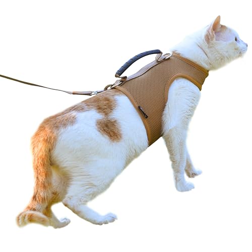 Katzengeschirr und Leine zum Spazierengehen, ausbruchsicher, atmungsaktives Netzgewebe, einfarbig, Braun, Größe M, verstellbare Katzenjacken mit Griff, gepolstert, stilvolle Katzenweste Katzengeschirr und Leine zum Spazierengehen, ausbruchsicher, atmungsaktives Netzgewebe, einfarbig, Braun, Größe M, verstellbare Katzenjacken mit Griff, gepolstert, stilvolle Katzenweste von YIZHI MIAOW