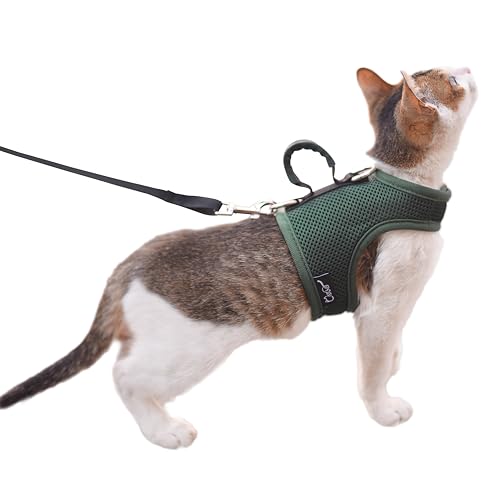 Katzengeschirr und Leine zum Spazierengehen, ausbruchsicher, atmungsaktives Netzgewebe, einfarbig, Grün, Größe XXL, verstellbare Katzenjacken mit Griff, gepolstert, stilvolle Katzenweste Katzengeschirr und Leine zum Spazierengehen, ausbruchsicher, atmungsaktives Netzgewebe, einfarbig, Grün, Größe XXL, verstellbare Katzenjacken mit Griff, gepolstert, stilvolle Katzenweste von YIZHI MIAOW