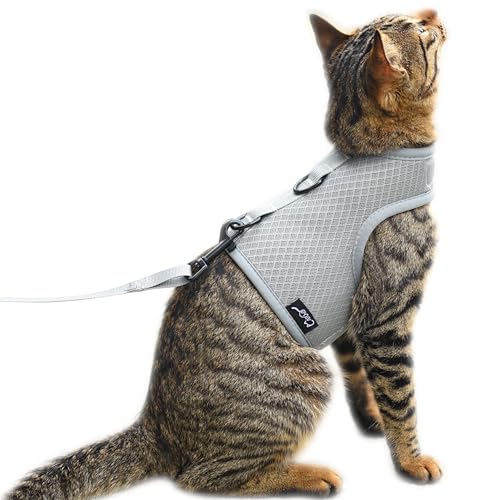 Katzengeschirr und Leine zum Spazierengehen, ausbruchsicher, atmungsaktives Netzgewebe, einfarbig, grau, klein, verstellbar, gepolstert, stilvolle Katzenweste von YIZHI MIAOW