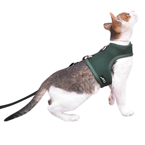 Katzengeschirr und Leine zum Spazierengehen, ausbruchsicher, atmungsaktives Netzgewebe, einfarbig, grün, groß, verstellbare Katzen-Spaziergeschirr, gepolstert, stilvolle Katzenweste Katzengeschirr und Leine zum Spazierengehen, ausbruchsicher, atmungsaktives Netzgewebe, einfarbig, grün, groß, verstellbare Katzen-Spaziergeschirr, gepolstert, stilvolle Katzenweste von YIZHI MIAOW
