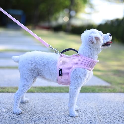 Teetasse Hundegeschirr und Leine, Set für kleine Haustiere, für den Sommer, verstellbar, weich gepolstert, Hundeweste mit Griff, für Teetasse, Chihuahua, Pudel, Yorike, Malteser unter 1,4 kg, solides von YIZHI MIAOW
