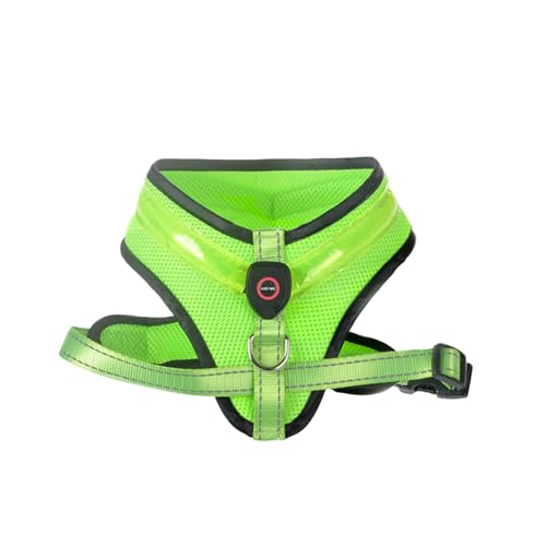YIZITU Fashion Dogs Gurt Leine Einstellbare Länge Haustier Brust Rücken LED Hundeweste Mit Stabil YIZITU Fashion Dogs Gurt Leine Einstellbare Länge Haustier Brust Rücken LED Hundeweste Mit Stabil von YIZITU