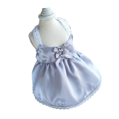 Haustier-Spitzenkleid mit Schleife, Rock, Haustierkleid, Prinzessin, elegantes T-Shirt-Kleid, Strand-Influencer, gleiche Requisiten von YIZITU
