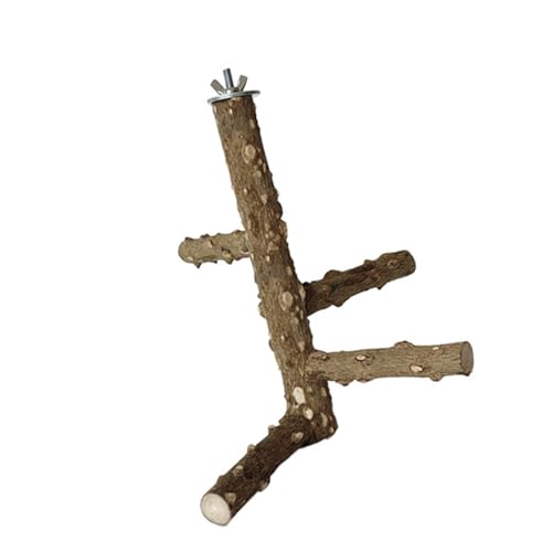 Natürlicher Sichuan-Pfeffer-Holzständer für Papageien, Spielplätze, Vogel, Hobbyisten, Zubehör für aktive Papageien, Spielzeiten von YIZITU