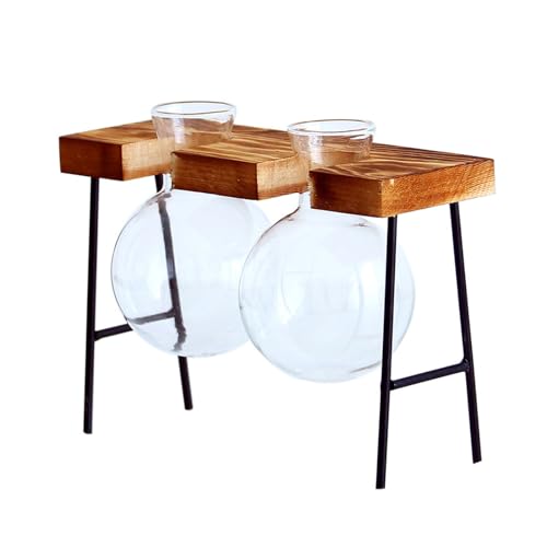 Pflanzen-Terrarien mit Holzständer, Desktops, Glas-Pflanzgefäß, Blumen-Vase für Hydrokulturen, Pflanzen, Blumen, Heimdekorationen, Pflanzen-Terrarien, Zwiebelvase Pflanzen-Terrarien mit Holzständer, Desktops, Glas-Pflanzgefäß, Blumen-Vase für Hydrokulturen, Pflanzen, Blumen, Heimdekorationen, Pflanzen-Terrarien, Zwiebelvase von YIZITU