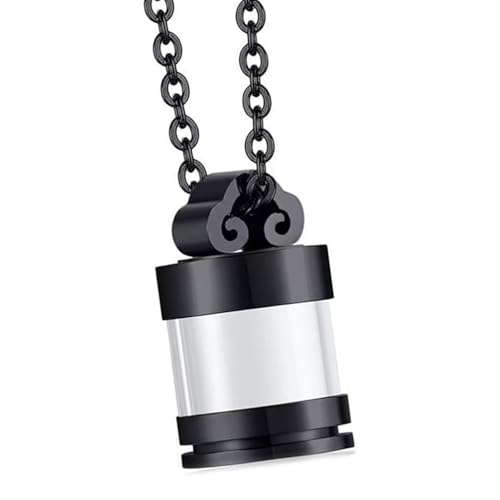 YIZITU Pet Ashes Halskette Medaillon Halskette Für Tierische Haustiermutter Medomm Für Asche/Haare Klare Zylinderasche/Haar Edelstahlschmuck YIZITU Pet Ashes Halskette Medaillon Halskette Für Tierische Haustiermutter Medomm Für Asche/Haare Klare Zylinderasche/Haar Edelstahlschmuck von YIZITU