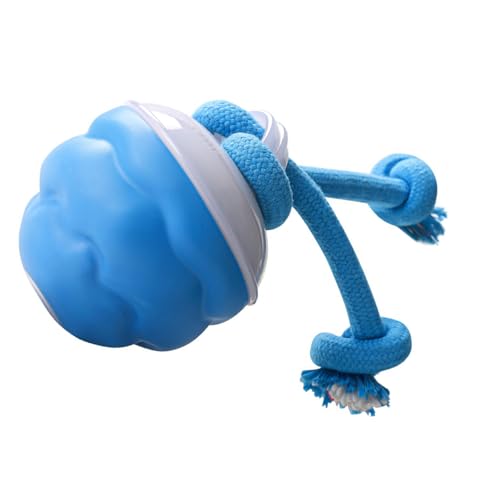 YIZITU Wiederaufladbares Hundespielzeug mit Schleifseil über USB, bewegungsaktiviert, für kleine Hunde und Welpen, für drinnen und draußen YIZITU Wiederaufladbares Hundespielzeug mit Schleifseil über USB, bewegungsaktiviert, für kleine Hunde und Welpen, für drinnen und draußen von YIZITU