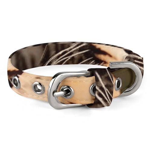 Haustierhalsband, Wildgeparden-Druck, verstellbares Haustierhalsband, leichtes Haustierhalsband, Ganzjahres-Haustierhalsband, weiches Haustierhalsband, niedliches Haustierhalsband Haustierhalsband, Wildgeparden-Druck, verstellbares Haustierhalsband, leichtes Haustierhalsband, Ganzjahres-Haustierhalsband, weiches Haustierhalsband, niedliches Haustierhalsband von YJWANDL
