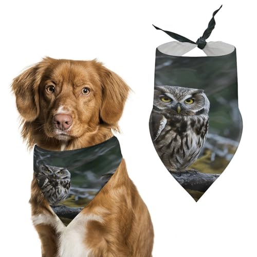 Weiches und atmungsaktives Haustier-Halstuch für Hunde und Katzen, Motiv: Wildeule, Vögel, leichter Polyester-Schal, perfekt für den täglichen Stil oder besondere Anlässe Weiches und atmungsaktives Haustier-Halstuch für Hunde und Katzen, Motiv: Wildeule, Vögel, leichter Polyester-Schal, perfekt für den täglichen Stil oder besondere Anlässe von YJWANDL