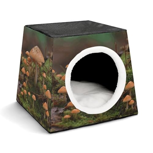 YJWANDL Space Capsule Haustierbett für Katzen und kleine Hunde, Wildpilzdruck, tragbares Haustierbett, kleines Haustierbett, gemütliches und maschinenwaschbares Haustiernest YJWANDL Space Capsule Haustierbett für Katzen und kleine Hunde, Wildpilzdruck, tragbares Haustierbett, kleines Haustierbett, gemütliches und maschinenwaschbares Haustiernest von YJWANDL
