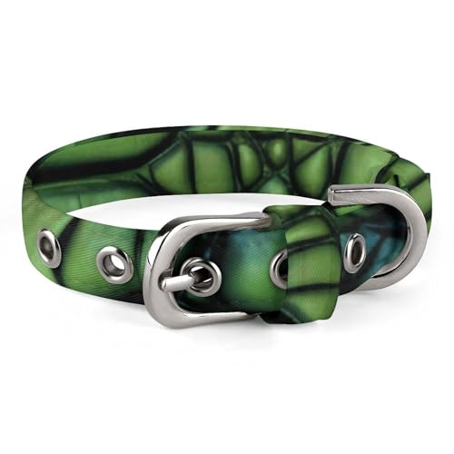 Haustier-Halsband, Alligatorhaut-Druck, stilvolles Haustierzubehör, modisches Haustierhalsband, verstellbares Haustierhalsband, leichtes Haustierhalsband Haustier-Halsband, Alligatorhaut-Druck, stilvolles Haustierzubehör, modisches Haustierhalsband, verstellbares Haustierhalsband, leichtes Haustierhalsband von YJWANDO