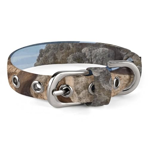 Haustier-Halsband, Bogen in Mallorca, Spanien, bedruckt, stilvolles Haustierzubehör, modisches Haustierhalsband, verstellbares Haustierhalsband, leichtes Haustierhalsband Haustier-Halsband, Bogen in Mallorca, Spanien, bedruckt, stilvolles Haustierzubehör, modisches Haustierhalsband, verstellbares Haustierhalsband, leichtes Haustierhalsband von YJWANDO
