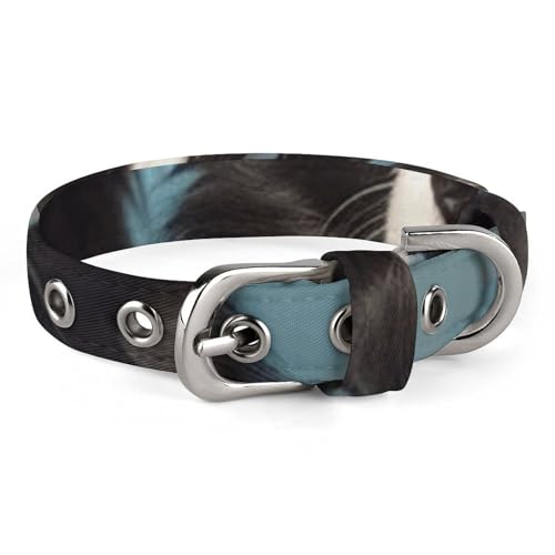 Haustier-Halsband, Border Collie-Druck, stilvolles Haustierzubehör, modisches Haustierhalsband, verstellbares Haustierhalsband, leichtes Haustierhalsband Haustier-Halsband, Border Collie-Druck, stilvolles Haustierzubehör, modisches Haustierhalsband, verstellbares Haustierhalsband, leichtes Haustierhalsband von YJWANDO