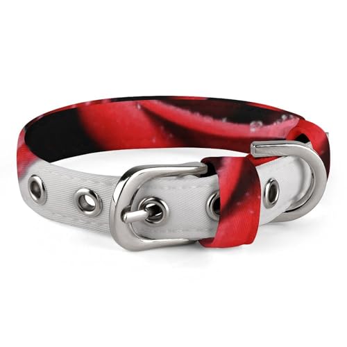 Haustier-Halsband, schwarz-weiß mit rotem Rosenmuster, stilvolles Haustierzubehör, modisches Haustierhalsband, verstellbares Haustierhalsband, leichtes Haustierhalsband Haustier-Halsband, schwarz-weiß mit rotem Rosenmuster, stilvolles Haustierzubehör, modisches Haustierhalsband, verstellbares Haustierhalsband, leichtes Haustierhalsband von YJWANDO