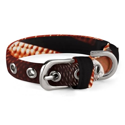 Haustierhalsband, Basketball auf Feuer, stilvolles Haustierzubehör, modisches Haustierhalsband, verstellbares Haustierhalsband, leichtes Haustierhalsband Haustierhalsband, Basketball auf Feuer, stilvolles Haustierzubehör, modisches Haustierhalsband, verstellbares Haustierhalsband, leichtes Haustierhalsband von YJWANDO