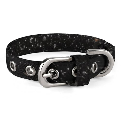 Haustierhalsband, schwarzer Glitzer-Druck, stilvolles Haustierzubehör, modisches Haustierhalsband, verstellbares Haustierhalsband, leichtes Haustierhalsband Haustierhalsband, schwarzer Glitzer-Druck, stilvolles Haustierzubehör, modisches Haustierhalsband, verstellbares Haustierhalsband, leichtes Haustierhalsband von YJWANDO
